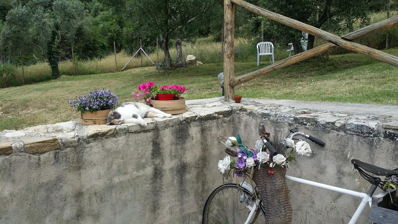 B&B Le Torri Di Firenze Fiesole Exteriör bild