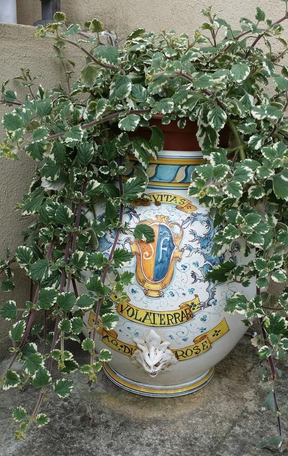 B&B Le Torri Di Firenze Fiesole Exteriör bild